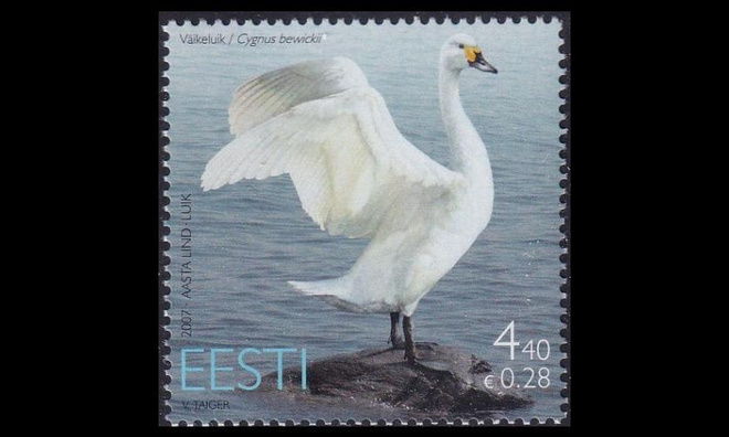 Eesti 580 ** Vuoden lintu pikkujoutsen (2007)