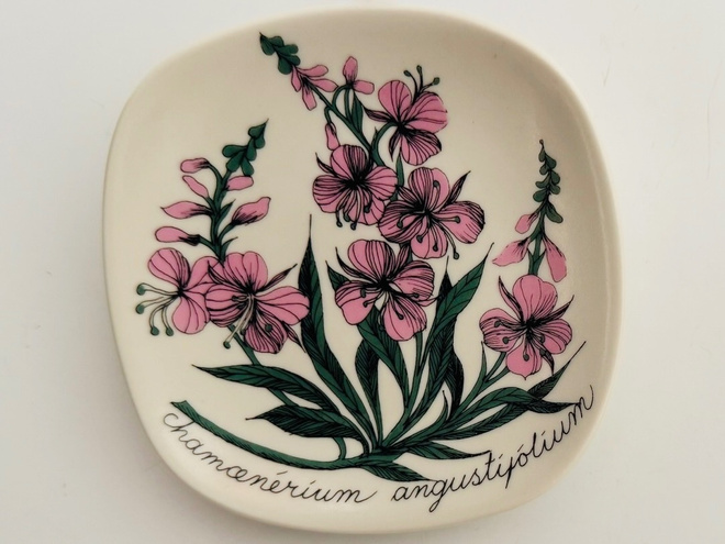 Esteri Tomula - Maitohorsma