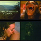 Ihmissusi Lontoossa (Nordic Video) VHS FIx - pikkukuva 2