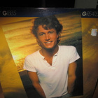 Andy Gibb - Andy Gibb's Greatest Hits LP - pikkukuva 1