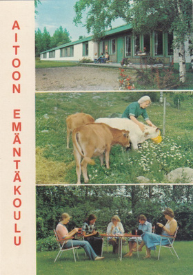 Aitoo. Emäntäkoulu sommitelmakortti b216