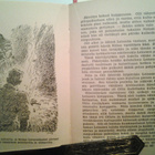 Paloheimo Leo: Lismajoen sudenpyytäjät, v. 1948 - pikkukuva 5