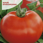 Tomaatti siemenet - Tolek # - pikkukuva 1