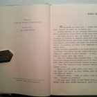 Enid Blyton: Viisikko vapauttaa lentäjät, 1.p. HYVÄ - pikkukuva 4