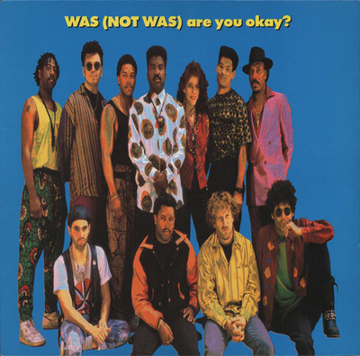 Was (Not Was) – Are You Okay? LP