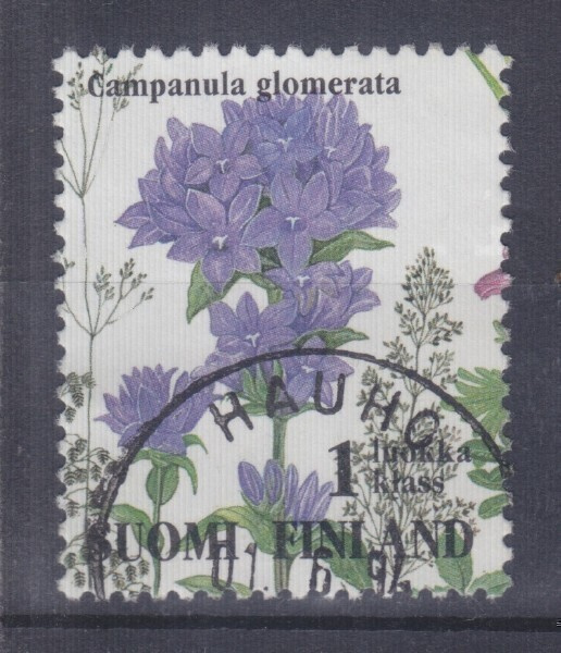 1994 ketokukkiavihosta loistoleimaisena 1