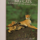 Andrew Cleave : Big Cats - A Portrait of the Animal World - pikkukuva 1