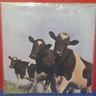PINK FLOYD - ATOM HEART MOTHER M-/M- U.S -86 REISSUE LP - pikkukuva 2