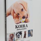 Nina Mäki-Kihniä : Koira : hoito ja koulutus - pikkukuva 1