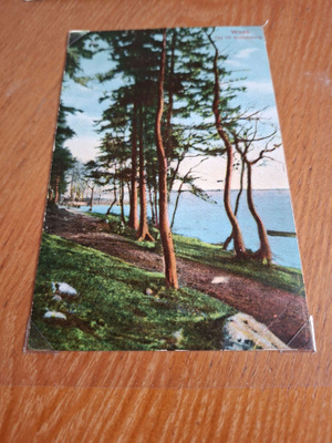 7 Vaasa Gustafsborg