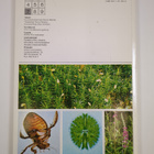 Rauno Mattila : Koulun biologia 5 ; Keskikoulun biologia 4 - pikkukuva 2