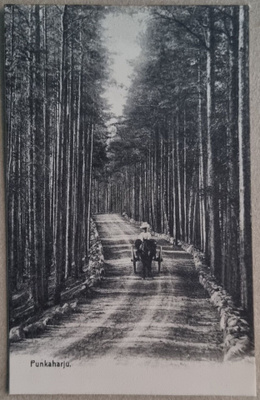 Punkaharju postikortti+negatiivi