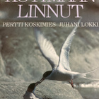 KOSKIMIES - LOKKI: KOTIMAAN LINNUT - pikkukuva 3