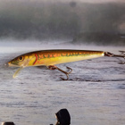 Rapala original 9 special - pikkukuva 1
