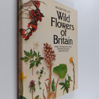 Roger Phillips : Wild flowers of Britain - pikkukuva 1
