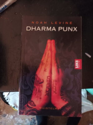 Noah Levine Dharma punx