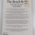 Paul Williams : Brian Wilson & The Beach Boys - How deep ... - pikkukuva 2