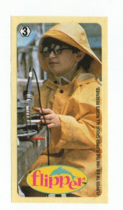 Purkkakuva Flipper n:o 3 1996