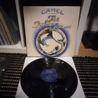 Camel - The Snow Goose | UK 1975 - pikkukuva 1