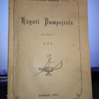 Käynti Pompejissa (1882) - pikkukuva 1