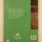 Matkalaulu - pikkukuva 2