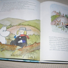 Muumi ja suuri salaisuus - pikkukuva 2