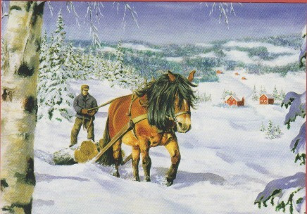 Jan Bergerlind Tukin ajoa hevosella