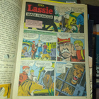 Lassie lehti 1973 - pikkukuva 4