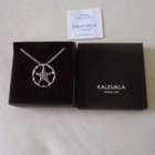 Kalevala Iso Michael Monroe A Star All Heart riipus Hopea - pikkukuva 3