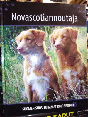 Novascotiannoutaja Suomen suosituimmat koirarodut