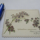 Koristekortti 1897 - pikkukuva 1