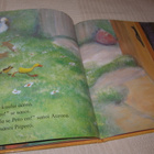 Jane Simmons Aurora ja Peto - pikkukuva 4