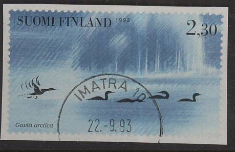 1993 kuikkia Imatra -93  loisto