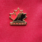 Uusi kylmälaukku Canadan pinssi + pullon kylmäkuori - pikkukuva 3