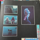 LED ZEPPELIN: The Song Remains The Same. *USA 1976 * tupla - pikkukuva 3