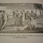Hansen - Onnellinen Arabia - Retkikunta 1761-67 - 1.painos - pikkukuva 3