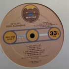 TODD RUNDGREN :: HEALING :: VINYYLI LP US-1981 !! - pikkukuva 3