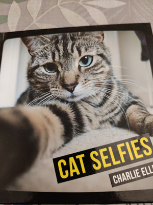 Cat selfies Charlie Ellis