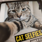Cat selfies Charlie Ellis - pikkukuva 1