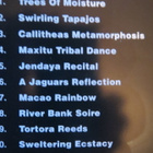 Yeskim: A Musical Voyage To The Rainforest CD - pikkukuva 2