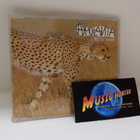 APULANTA - MITÄ VAAN CDS - pikkukuva 1