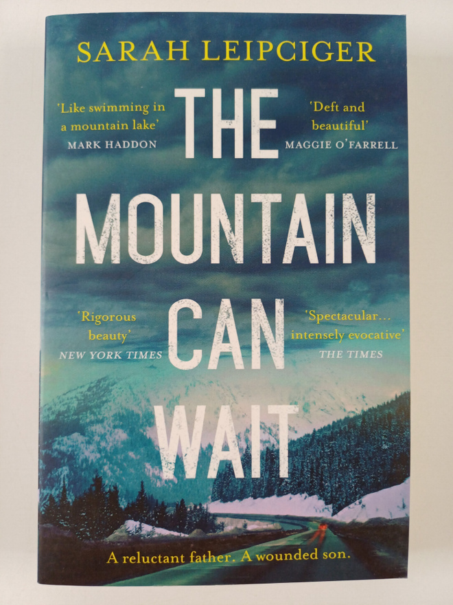 Sarah Leipciger : The Mountain Can Wait