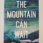 Sarah Leipciger : The Mountain Can Wait - pikkukuva 1