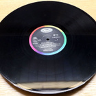 Tina Turner - Break Every Rule LP - pikkukuva 5