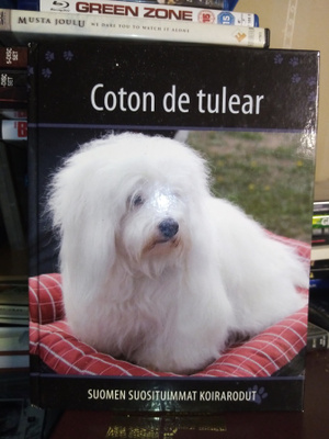 Suomen suosituimmat koirarodut COTON DE TULEAR