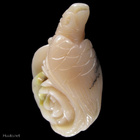 Opaali papukaija riipus 20g 6.8cm vaalea nektariini - pikkukuva 3