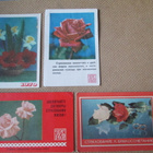 CCCP: 18 almanakkakorttia 1969-1985 - kukat, kasvit - pikkukuva 3