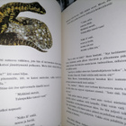 Sateenhaltijatar - Theodor Storm - kuv. Jan Kudlacek - pikkukuva 4