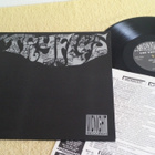 THE TRYFLES - The Tryfles LP - pikkukuva 1
