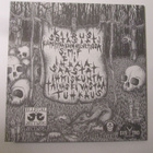 Noituus: Turku EP 7" EP 2012 Punk - pikkukuva 2
